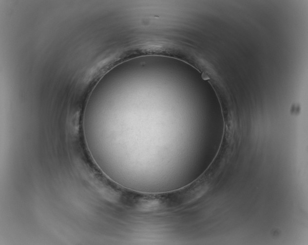 X0000112960454200908271120