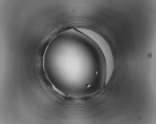 X0000112960456200908271121