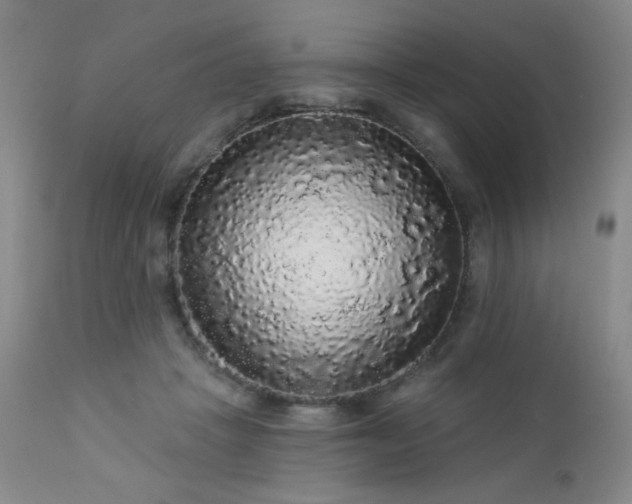 X0000112960457200908271121