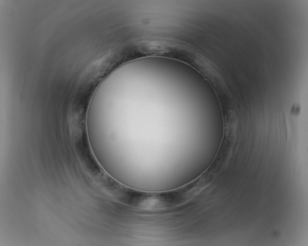 X0000112960460200908271121