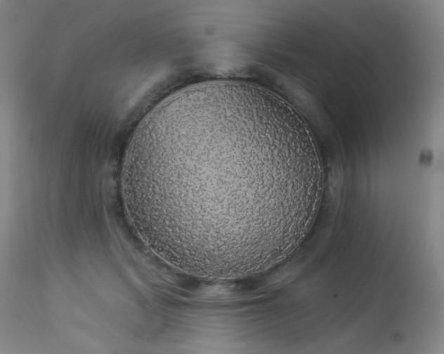 X0000112960461200908271121