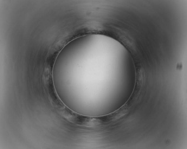 X0000112960463200908271121