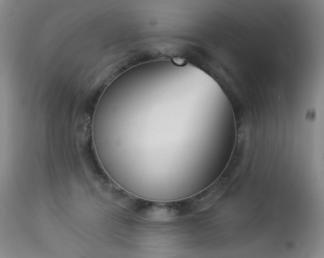 X0000112960464200908271121