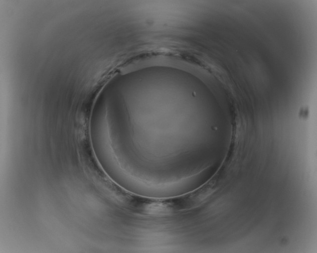 X0000112960465200908271121