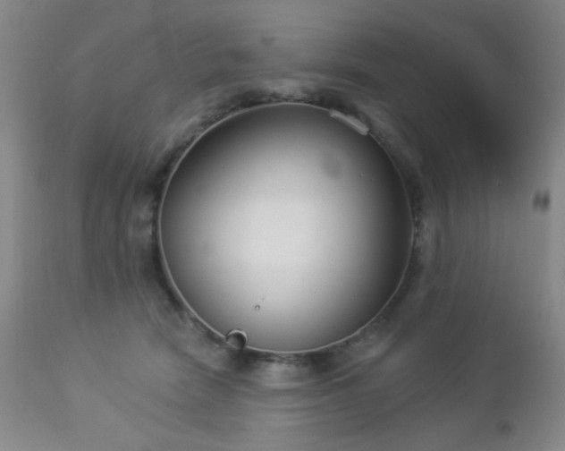 X0000112960466200908271121