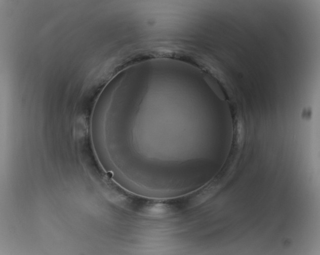 X0000112960467200908271121