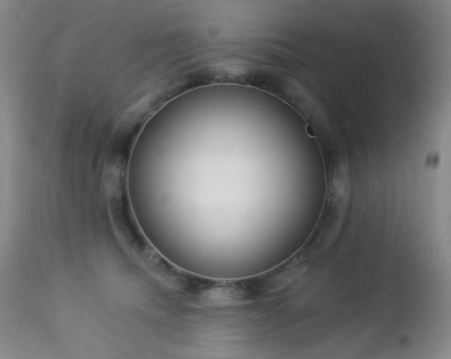 X0000112960468200908271121