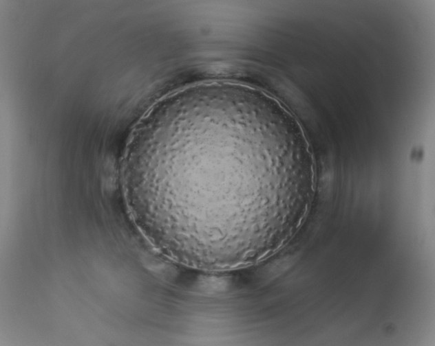 X0000112960469200908271121