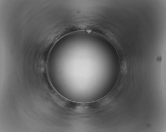 X0000112960470200908271121