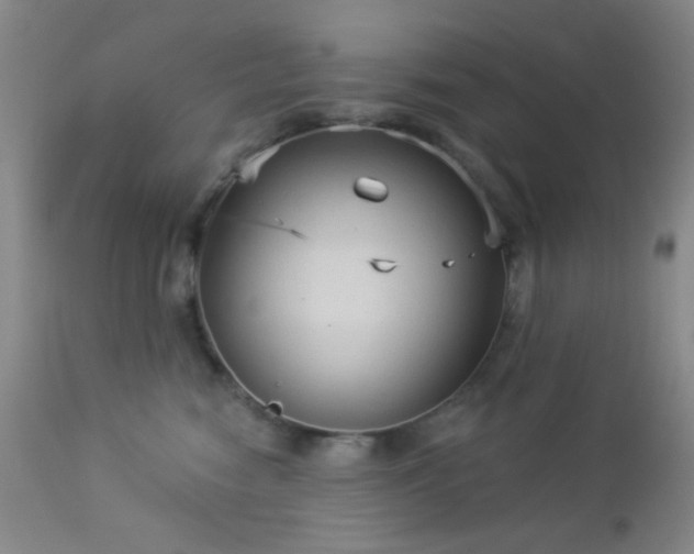 X0000112960474200908271121