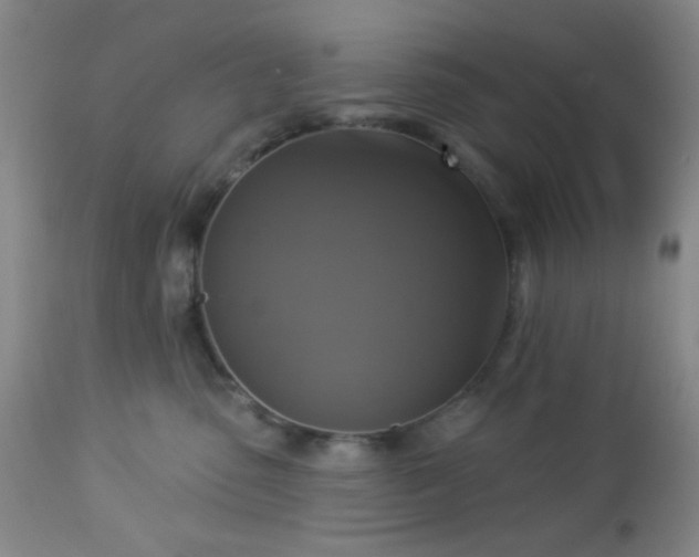 X0000112960475200908271121