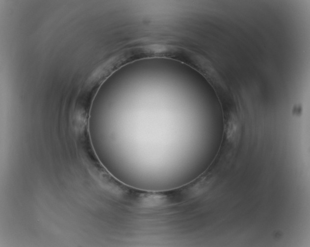 X0000112960476200908271121