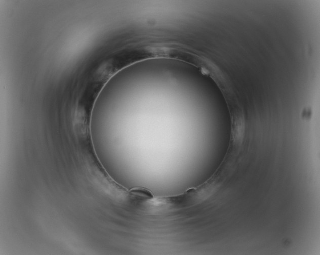 X0000112960477200908271121