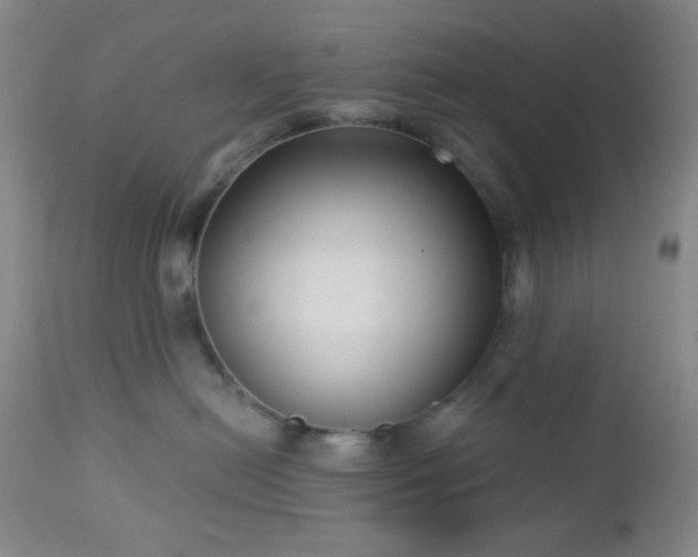 X0000112960478200908271121