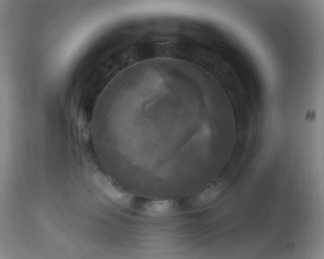 X0000112960479200908271121