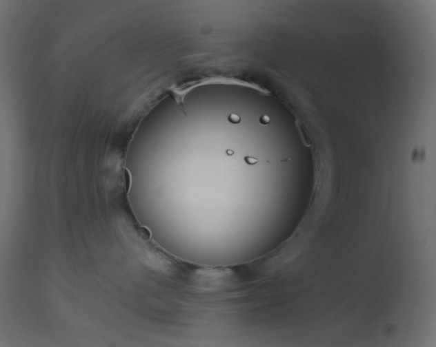 X0000112960480200908271121