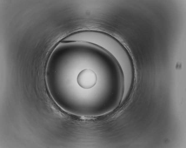 X0000112960481200908271120