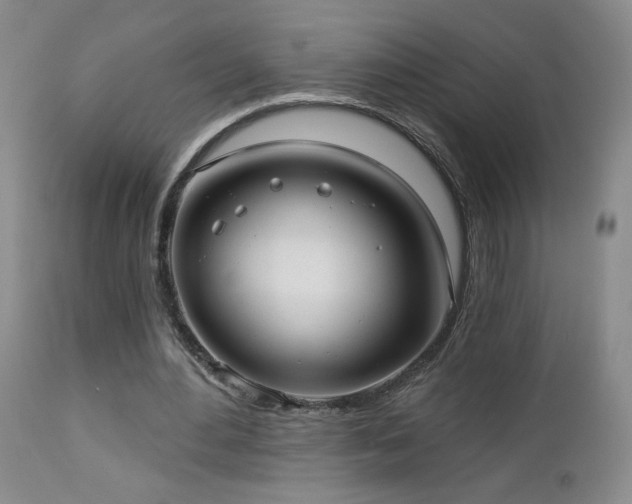 X0000112960484200908271120