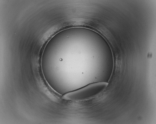 X0000112960485200908271120