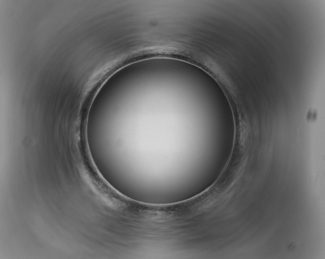 X0000112960486200908271120