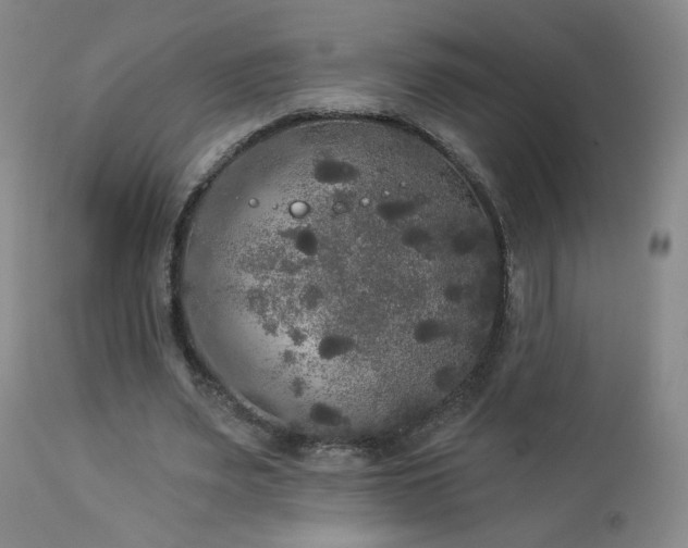 X0000112960487200908271120