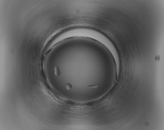 X0000112960488200908271120