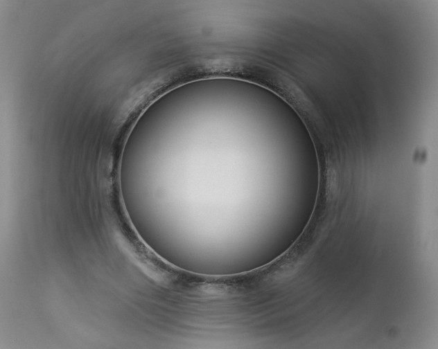 X0000112960490200908271120