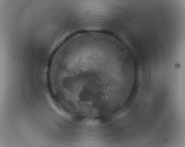 X0000112960491200908271120