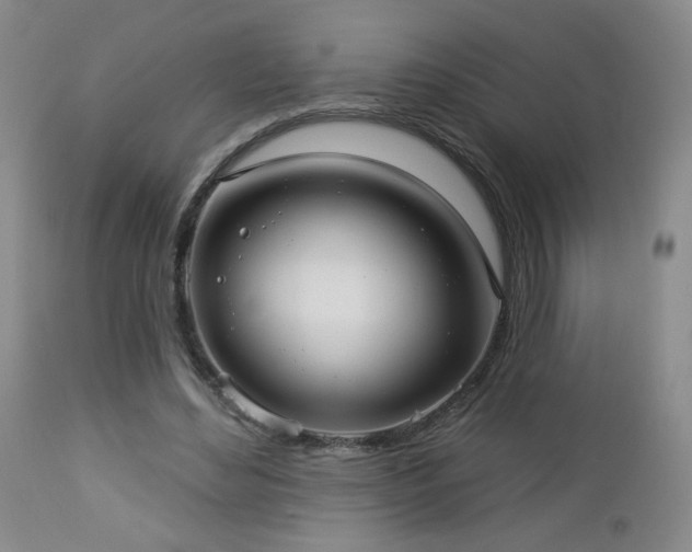 X0000112960492200908271120