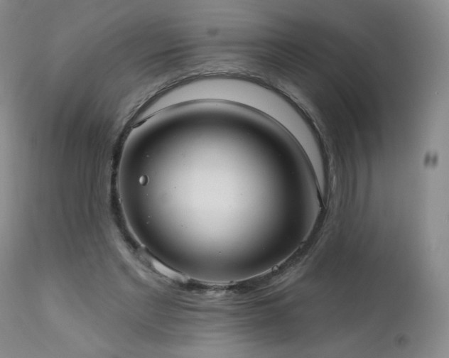 X0000112960493200908271120