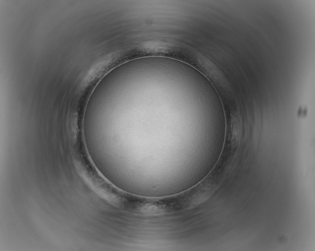 X0000112960494200908271120