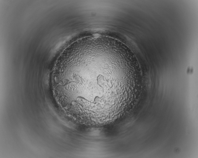 X0000112960495200908271120