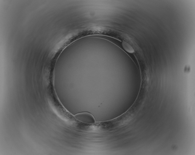 X0000112960496200908271120