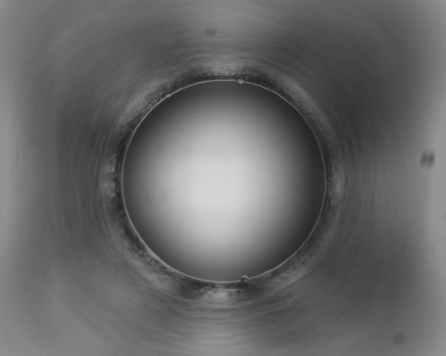 X0000112960497200908271120