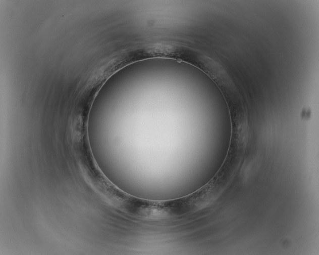 X0000112960498200908271120