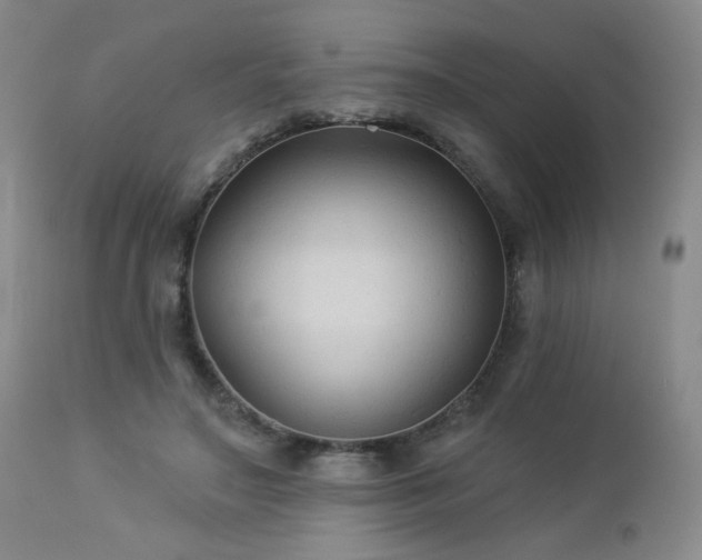 X0000112960499200908271120