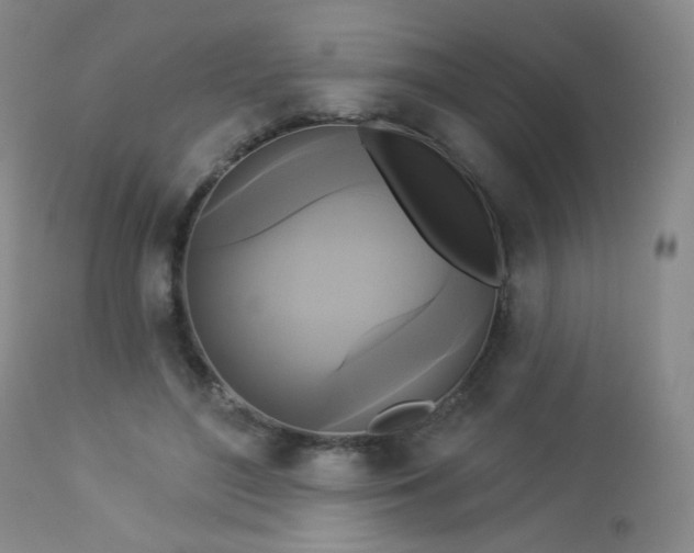 X0000112960500200908271120