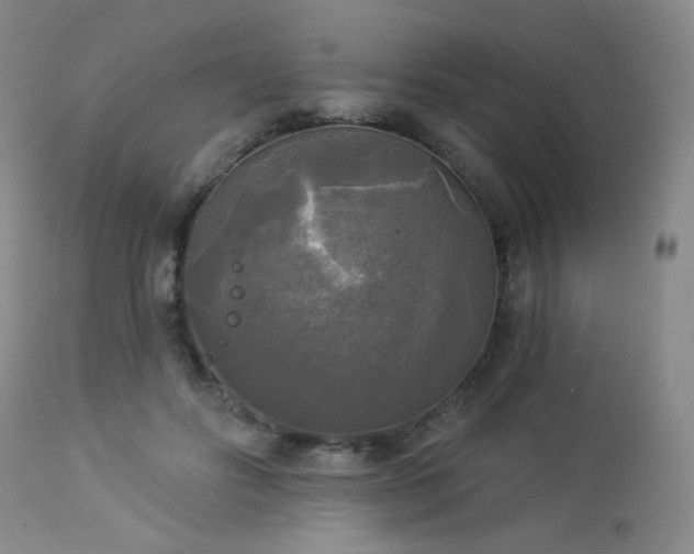 X0000112960502200908271120