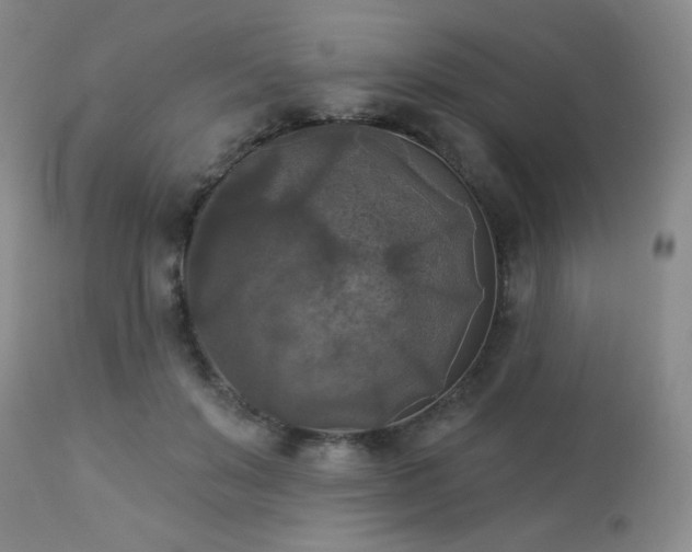 X0000112960503200908271120