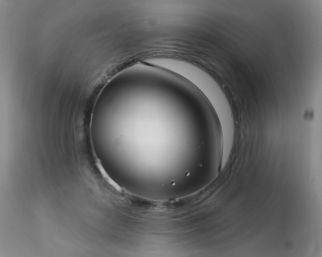 X0000112960504200908271120