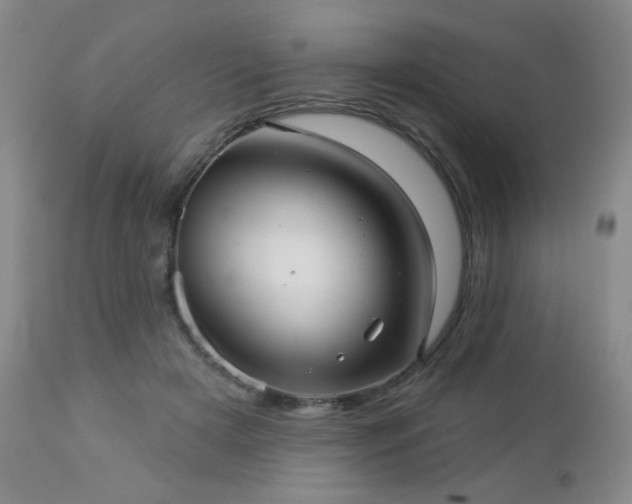 X0000112960505200908271120