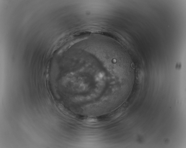 X0000112960507200908271120