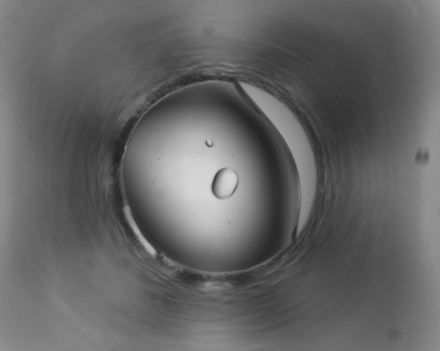 X0000112960508200908271120