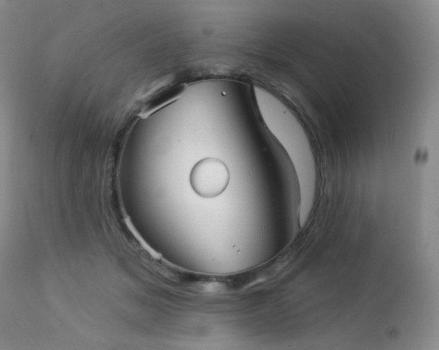 X0000112960509200908271120