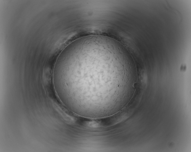 X0000112960511200908271120