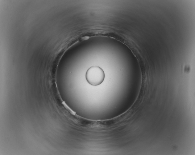 X0000112960512200908271120