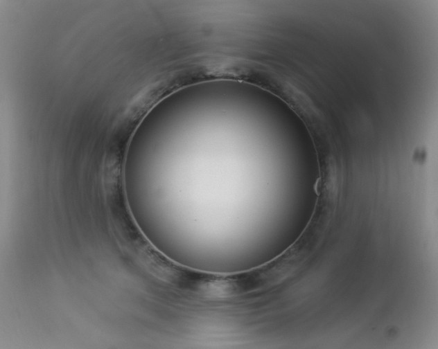 X0000112960513200908271120