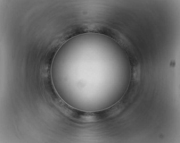 X0000112960514200908271120