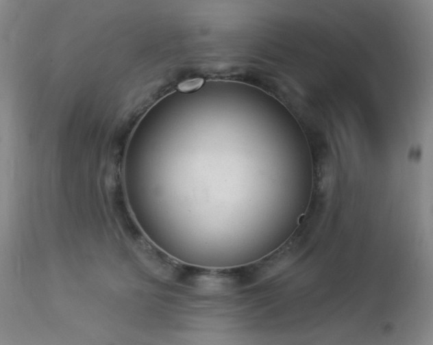 X0000112960515200908271120