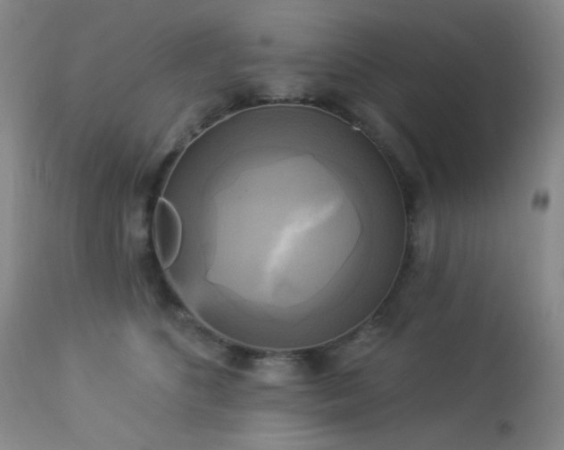 X0000112960516200908271120